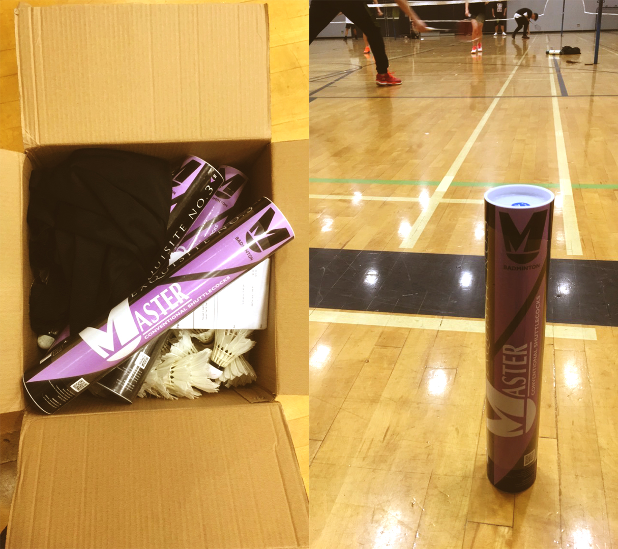 Figure 2: Lin, G. (November 2016). Exquisite No.3 Shuttlecock in use during a Master Badminton lesson. [Photography]